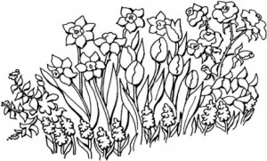 dibujos para colorear jardin