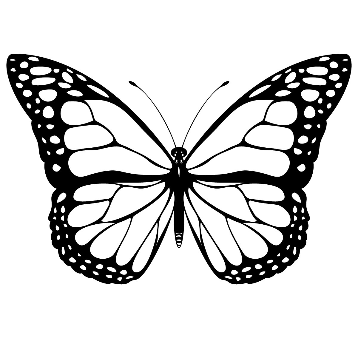 Monarch Butterfly Coloring Pages Free