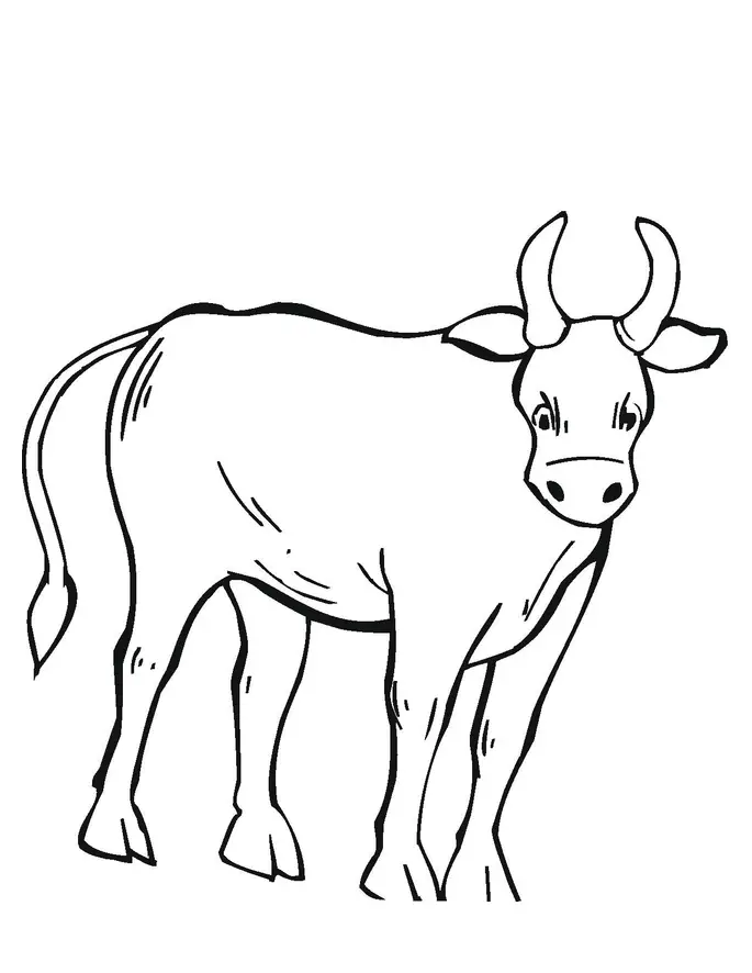 Dibujos de toros para colorear