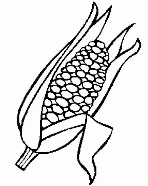 ear of corn coloring pages - photo #22