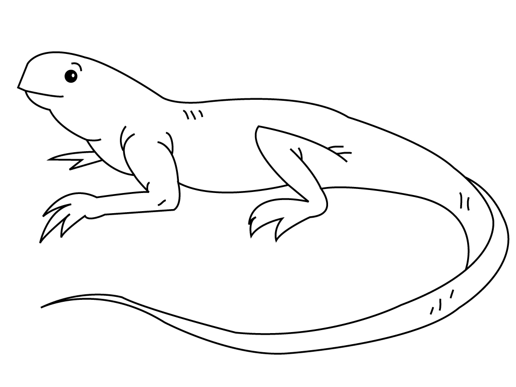 galapagos iguanas coloring pages - photo #25