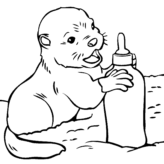 baby cat and baby seal coloring pages - photo #7
