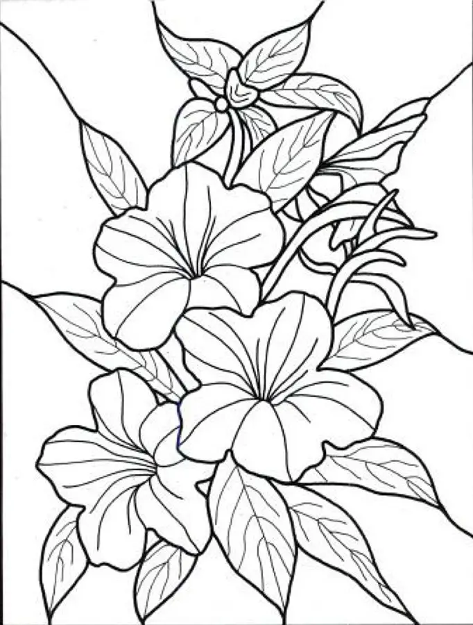 half flower coloring pages - photo #8