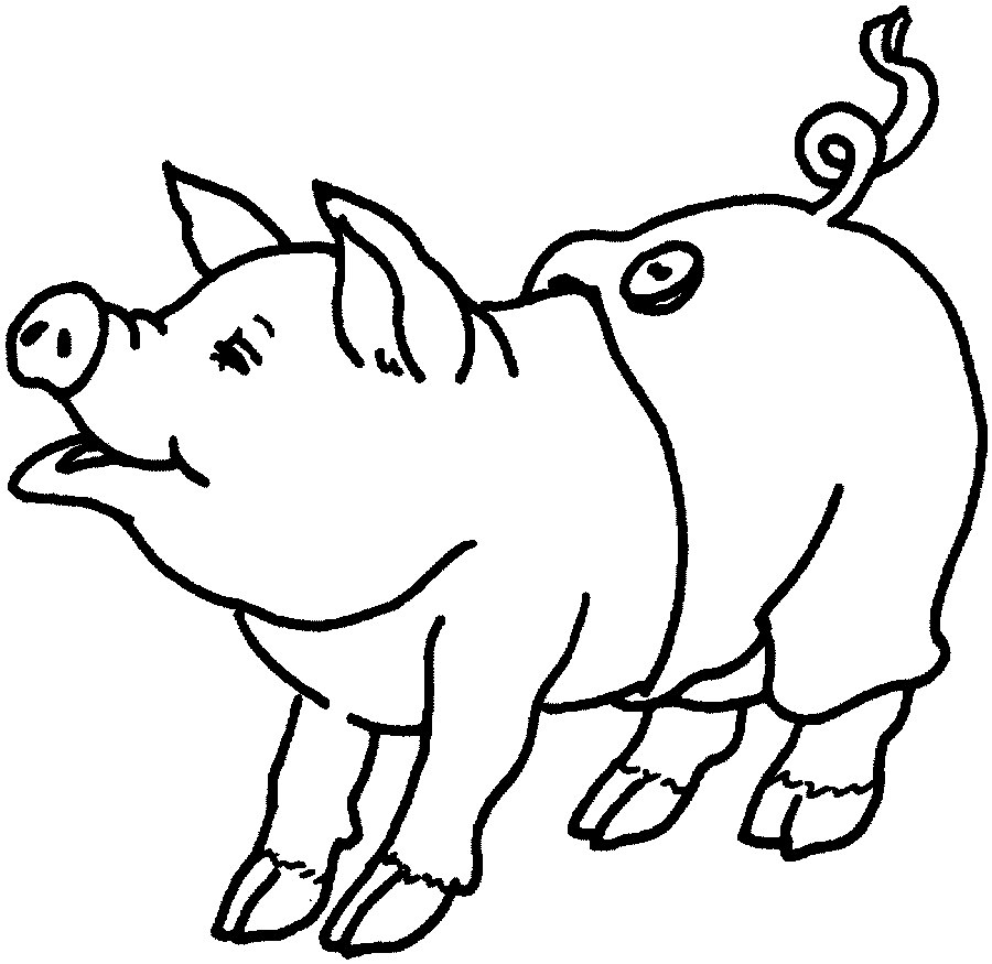 cerdo para colorear