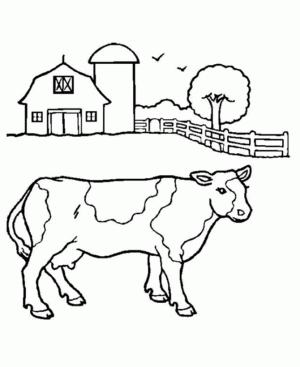 dibujar una vaca