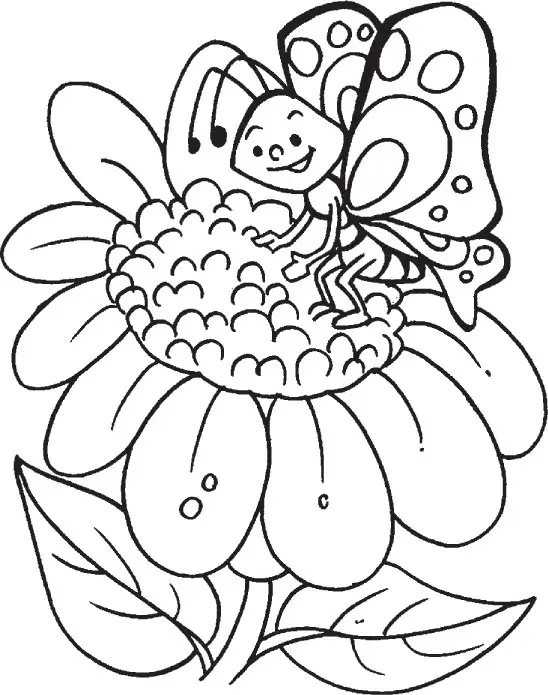 dibujo de una mariposa para colorear