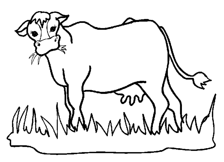 dibujo de vaca para colorear