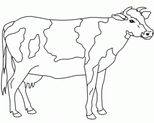 dibujo para colorear de una vaca