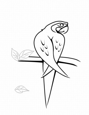 dibujos de pajaros para imprimir