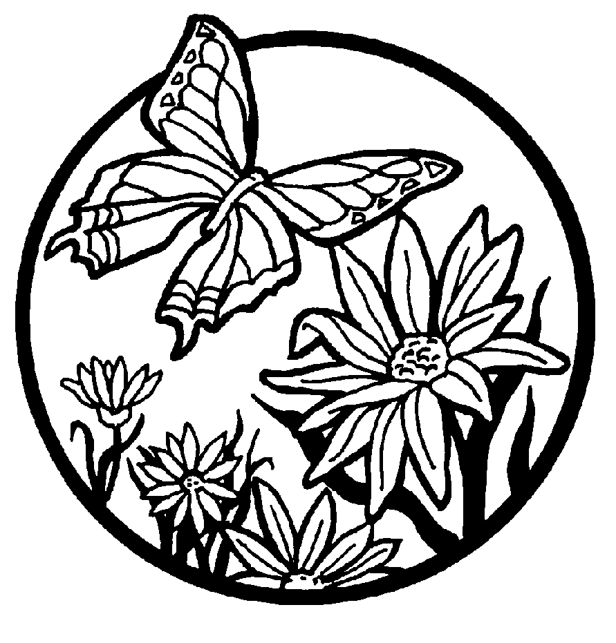 dibujos mariposa para colorear