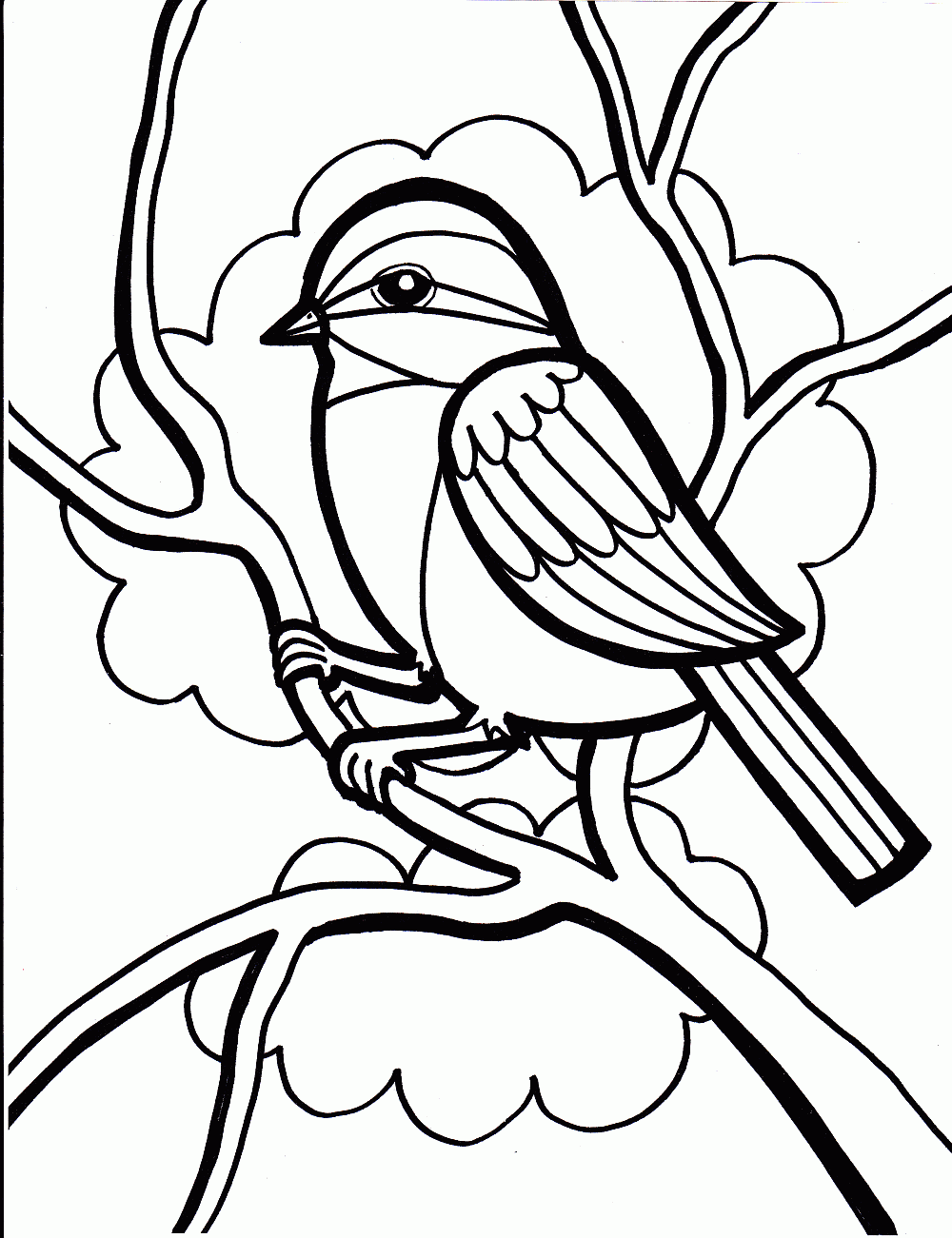 dibujos pajaros para colorear