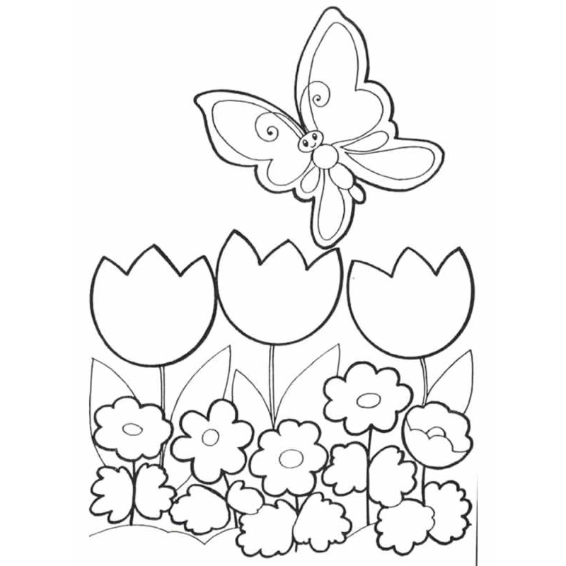 dibujos para colorear de mariposas