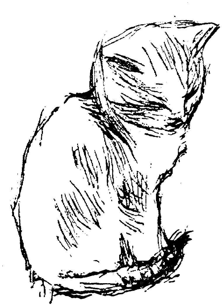 gato para colorear