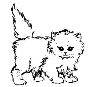 imagen de un gato para colorear