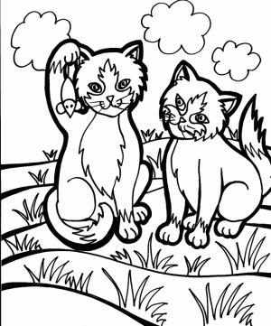 imagenes de gatos para dibujar