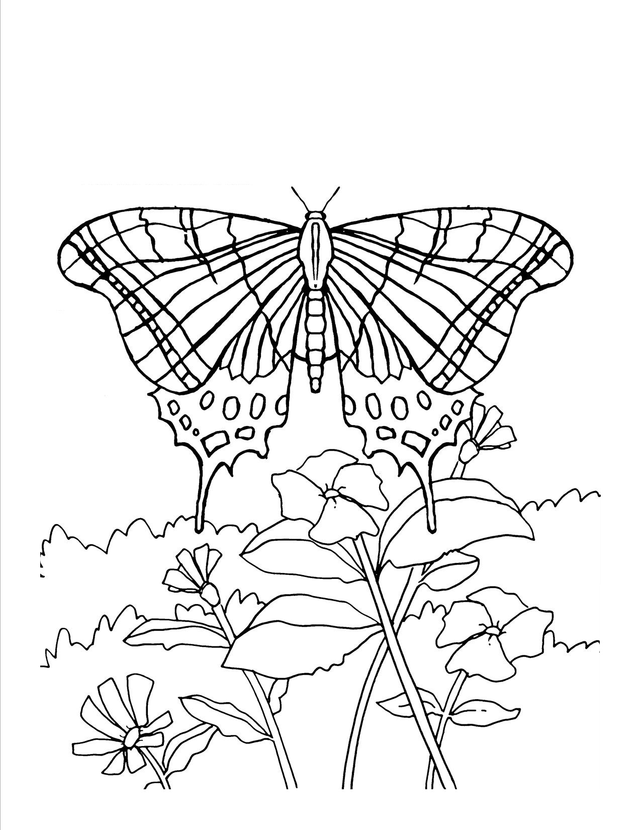 mariposas para colorear gratis