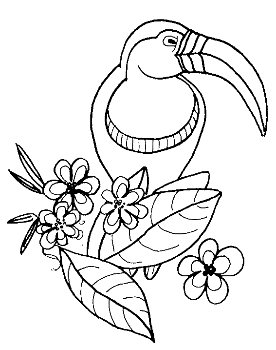 pajaros para dibujar