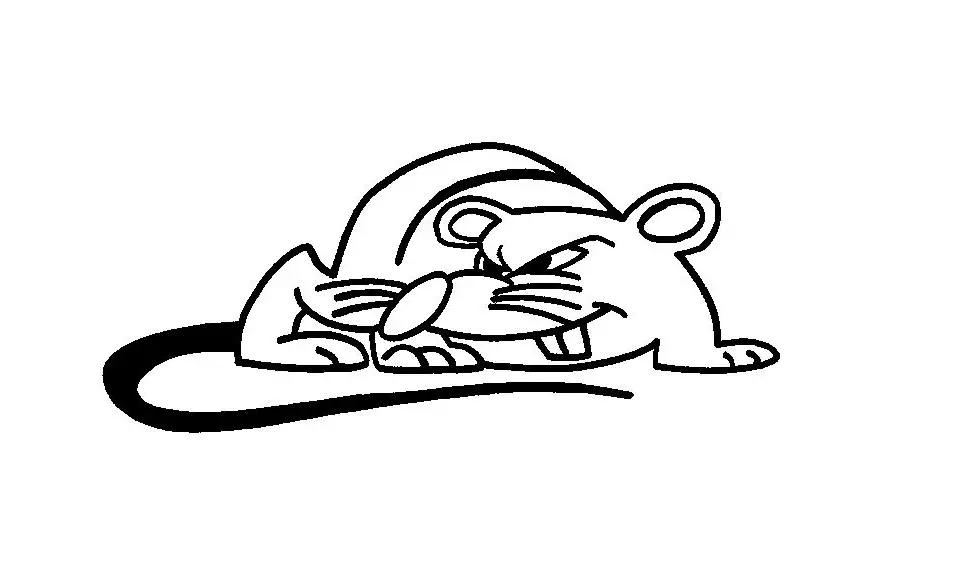 pintar la cara de raton