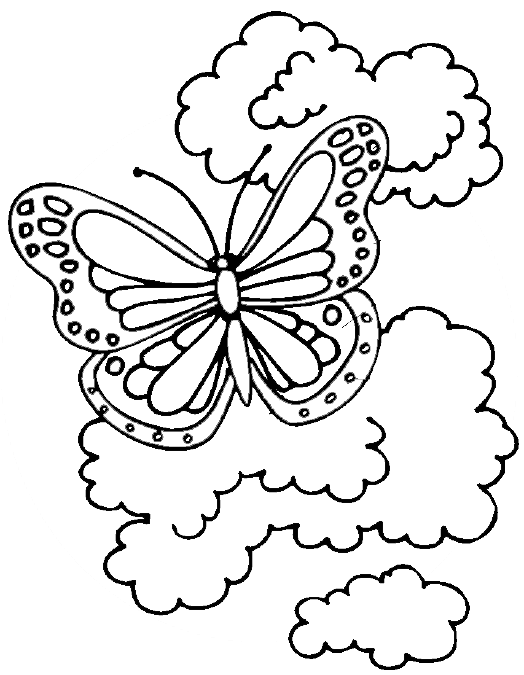 una imagen de una mariposa para colorear