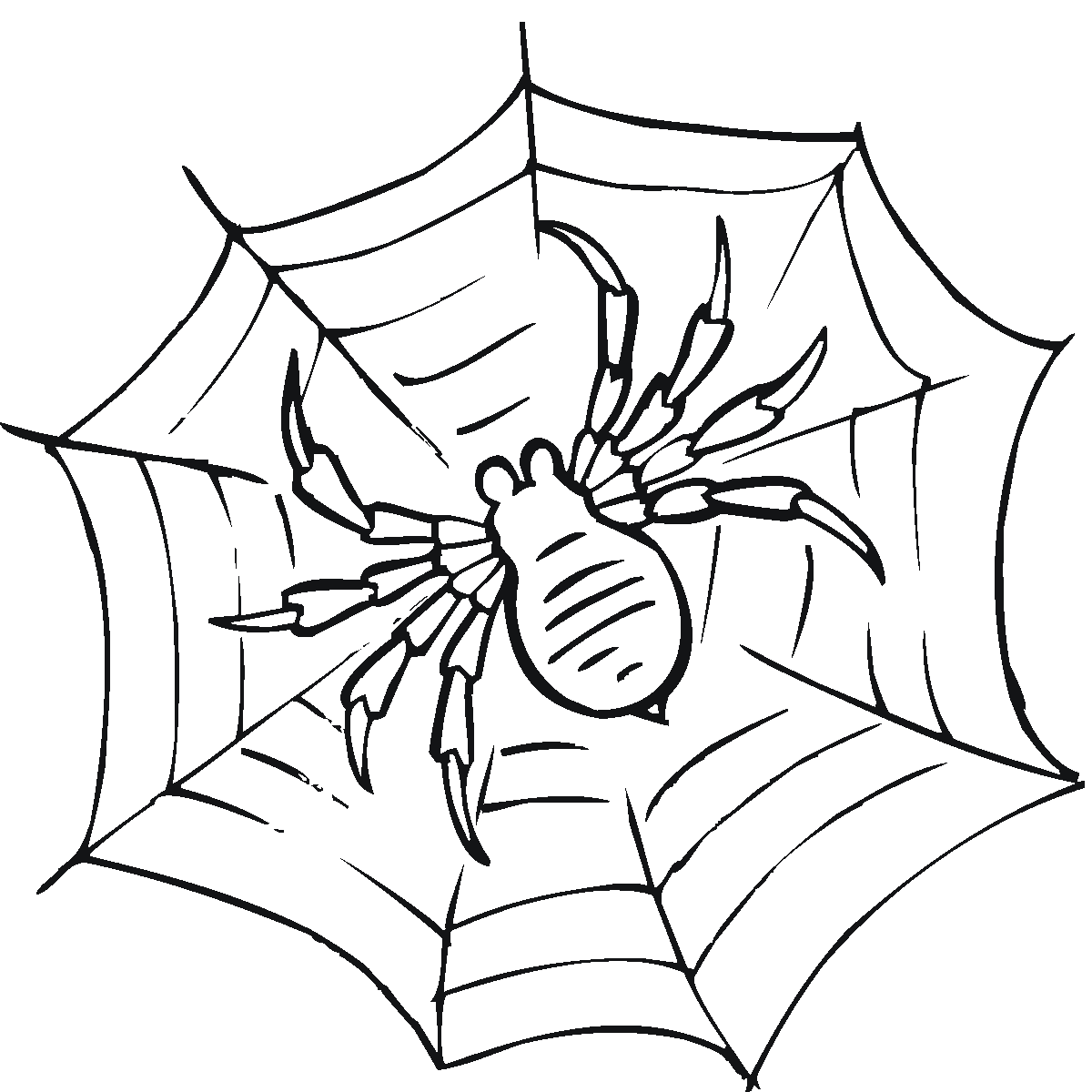 araña imagenes para colorear