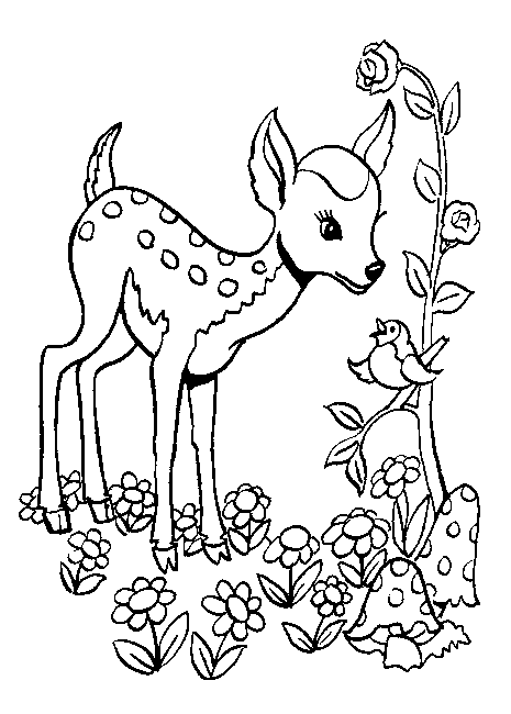 bambi para colorear