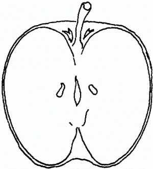 dibujo de manzana para imprimir