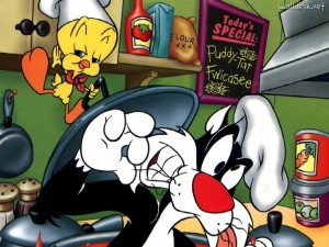 el gato silvestre y piolin