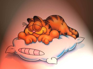 garfield durmiendo