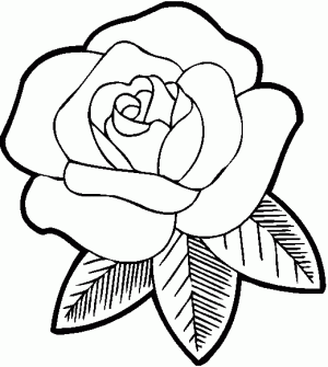 imagenes de rosas para colorear