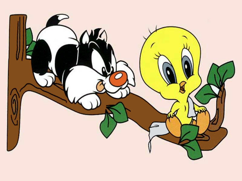 piolin y silvestre bebes