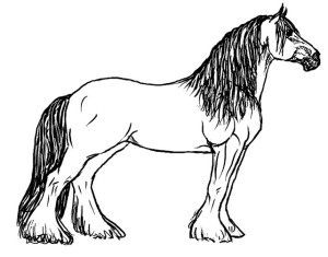 caballo colorear