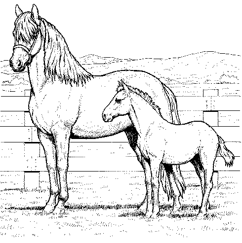 caballos para colorear