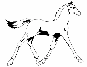 caballos para pintar