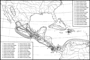 colorear mapa de mesoamerica