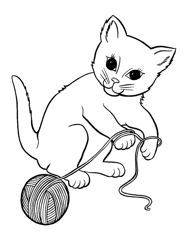 dibujar-un-gato