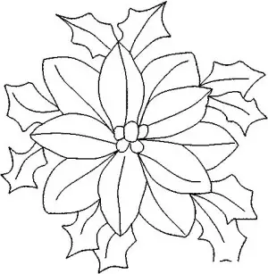 dibujo de flor de pascua para colorear