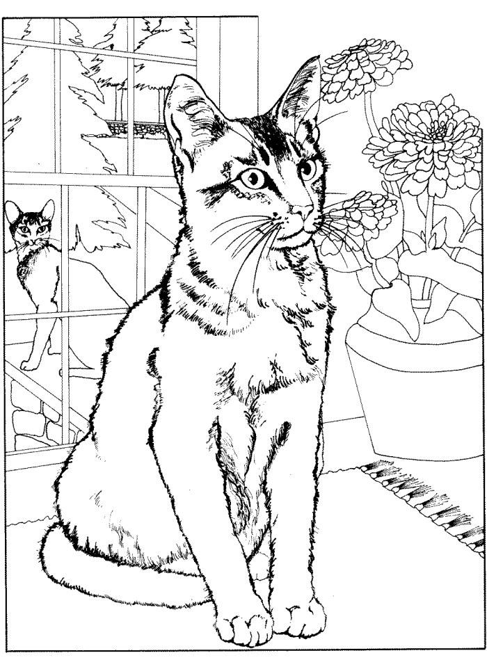 dibujo-de-gatos-para-colorear