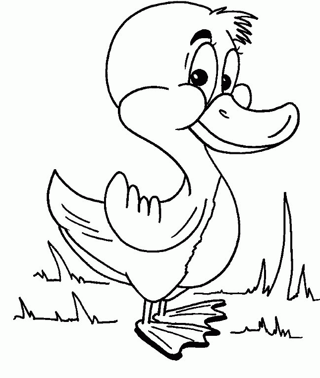 dibujo de un pato para colorear