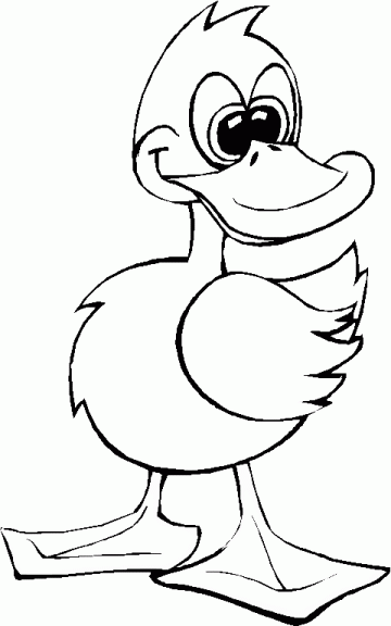 dibujo para colorear de un pato