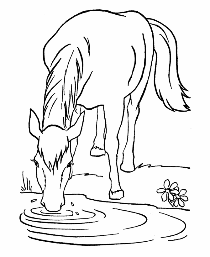 dibujos de caballos para imprimir