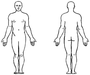 Cuerpo humano para colorear e imprimir