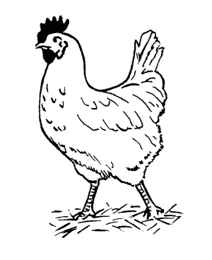 dibujos para colorear de gallina