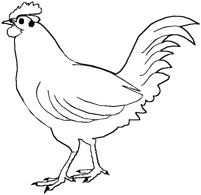 dibujos para colorear de gallinas