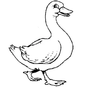 dibujos para colorear de pato