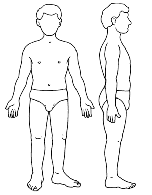 Cuerpo humano para colorear e imprimir