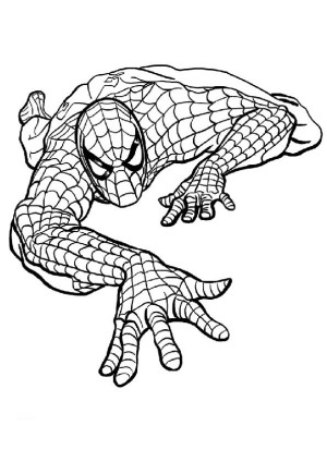 dibujos spiderman para colorear