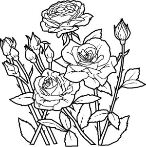 Dibujos de flores para colorear