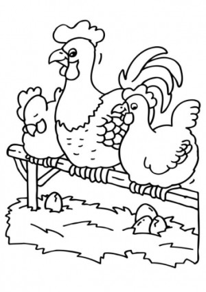imagen de gallina para colorear