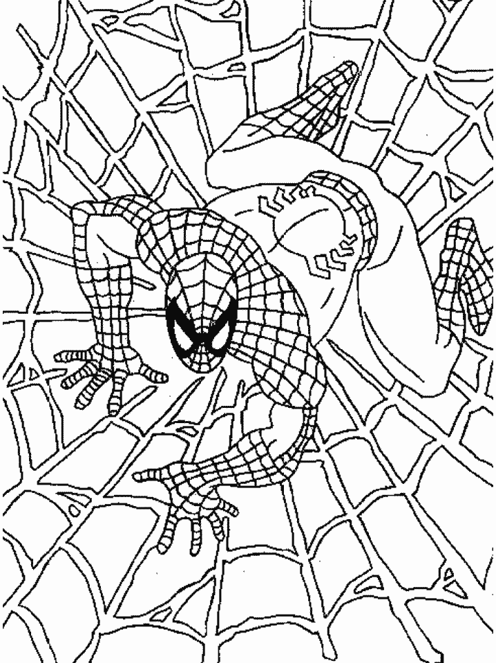 imagenes de spiderman para colorear