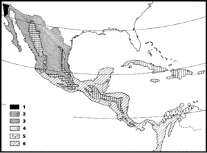 mapa de mesoamerica para colorear
